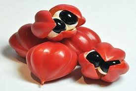 Kombinasi Ginseng dan Guarana untuk Vitalitas&nbsp;Maksimal